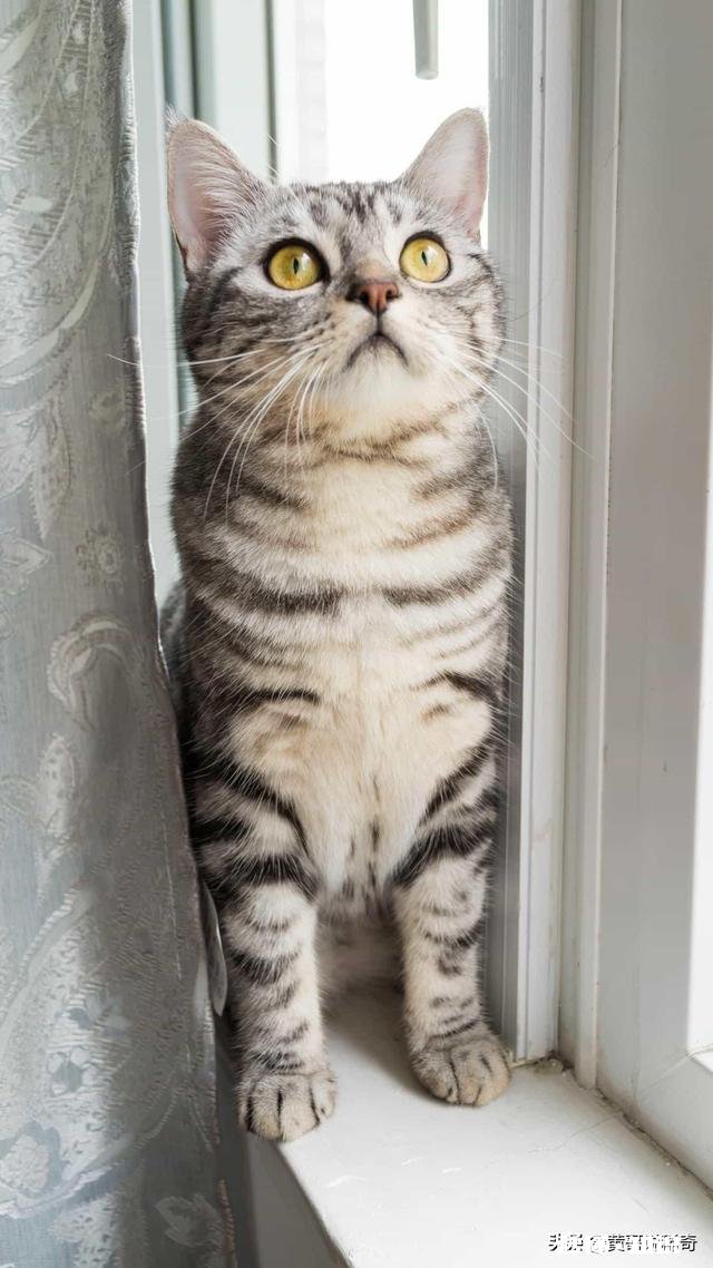 姐姐在10年前遇害,至今未找到凶手,该怎么办