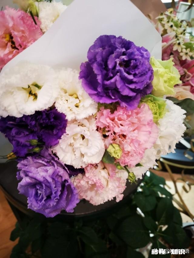 南京失联女学生被男友杀害，有人说是未毕业同居惹的祸，怎么看