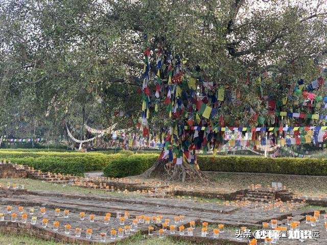 如何理解“山不在高,有仙则名。水不在深,有龙则灵。”