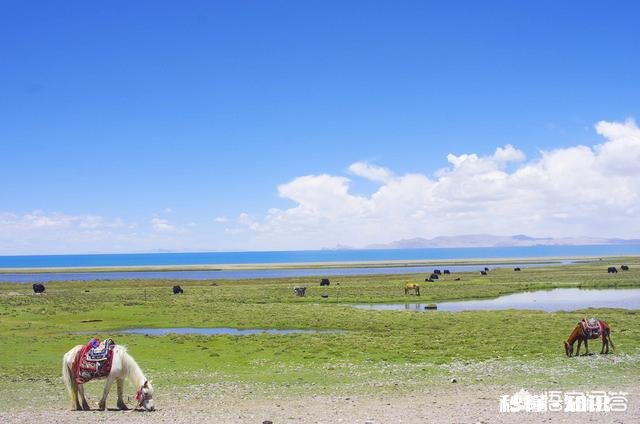 想座朋友自驾车到西藏拉萨,由银川出发,来回最短需几天