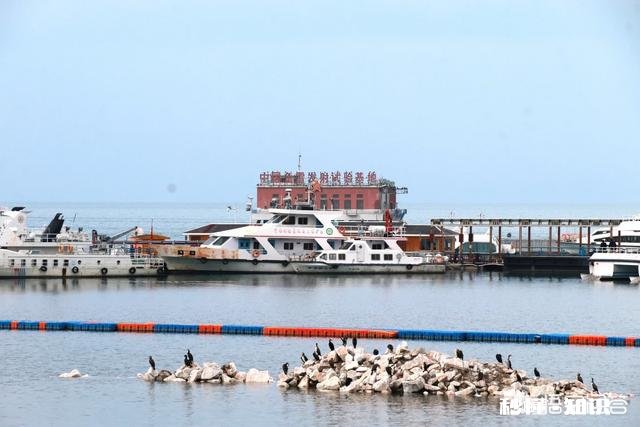 想座朋友自驾车到西藏拉萨,由银川出发,来回最短需几天