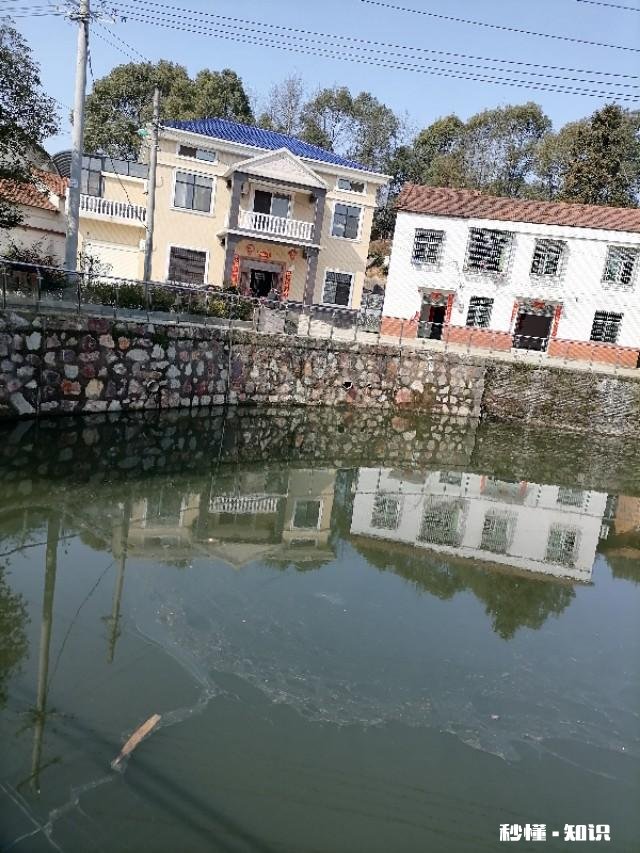 疫情期间,大家都在家里干什么