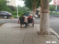 子女不孝顺父母，等其老了之后，其子女会孝顺他吗