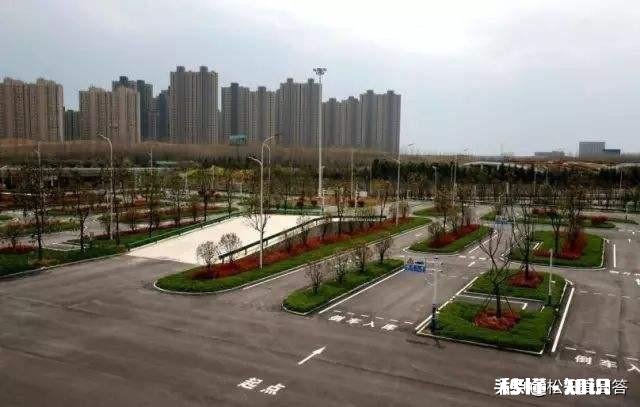 科目二这么难吗有啥建意在线等