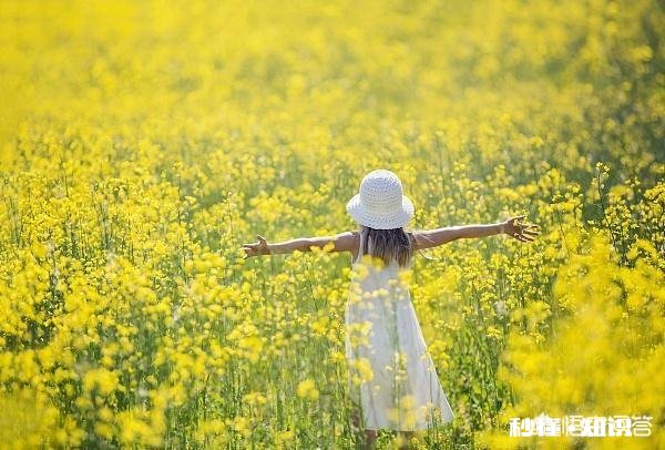 人生三问，我是谁我想要的是什么我怎样去达到