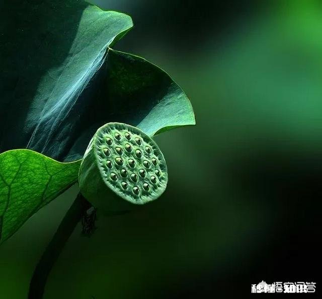 你觉得智慧存在的意义是什么