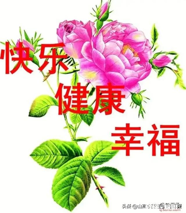 在你眼中,家是什么样的