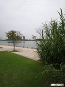 身无分文还欠了十几万，每个月都要还银行的钱，又没有文化，该怎么办