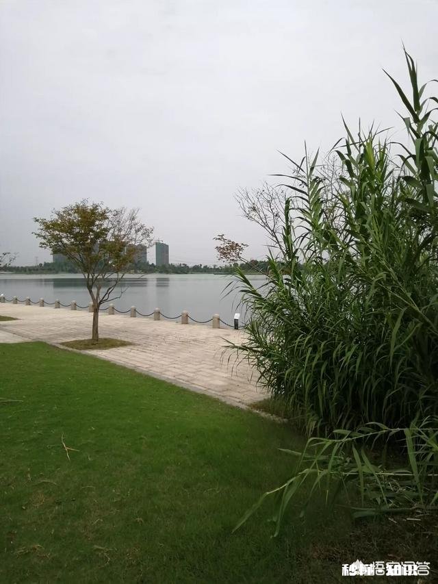 身无分文还欠了十几万,每个月都要还银行的钱,又没有文化,该怎么办