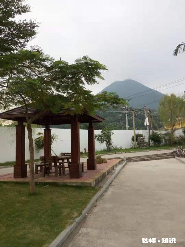 现在春意盎然,“开学”还远吗