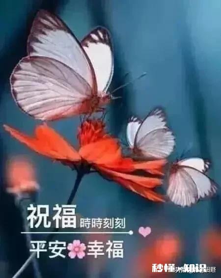 如何面对生命中的无常,往后余生应该怎样才能无悔