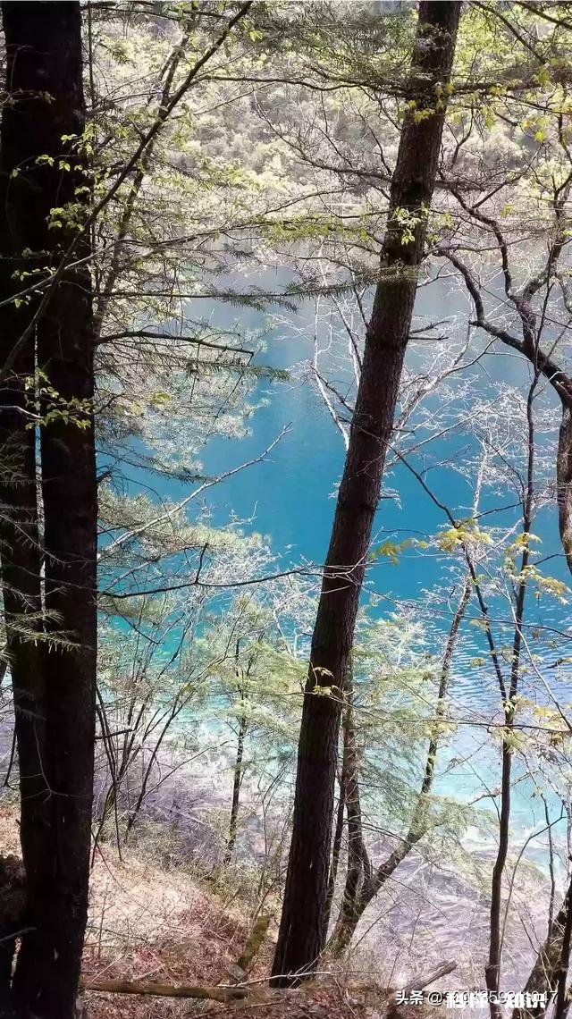 父母和孩子感情为啥会疏离