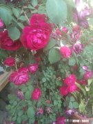 父母和孩子感情为啥会疏离