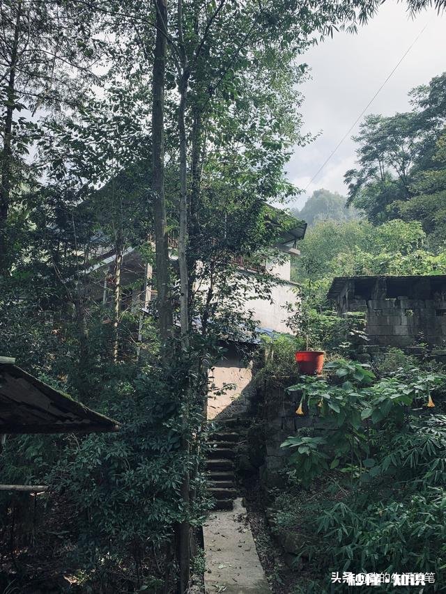 一个月50000元现金或者一个月不能玩手机。你愿意选择哪个为什么