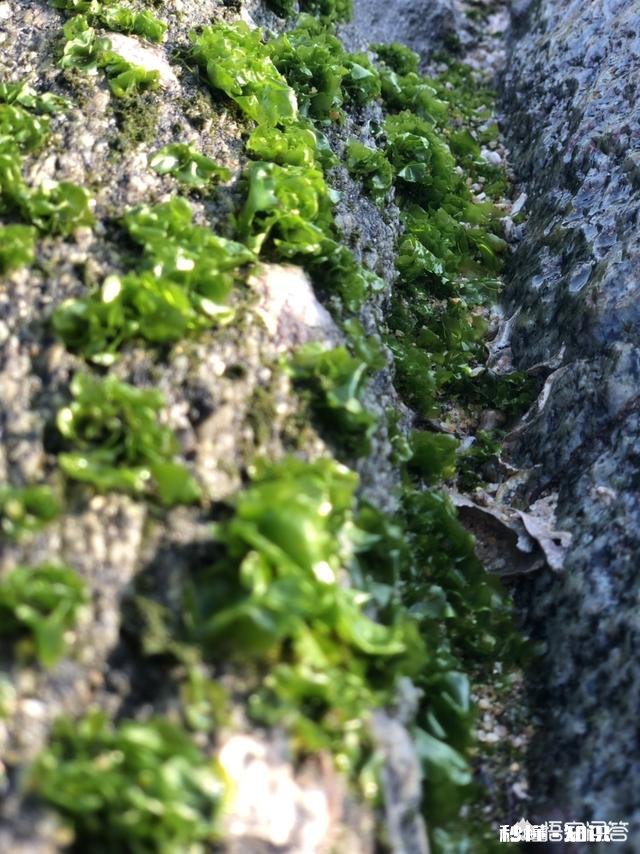 25岁,欠八万,有什么赚钱的好路子