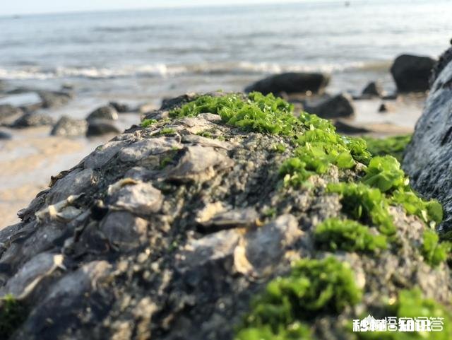 25岁,欠八万,有什么赚钱的好路子