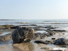 25岁，欠八万，有什么赚钱的好路子