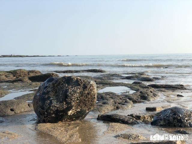 25岁,欠八万,有什么赚钱的好路子