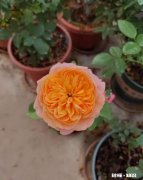 为人处世不是一味儿地对别人好吗