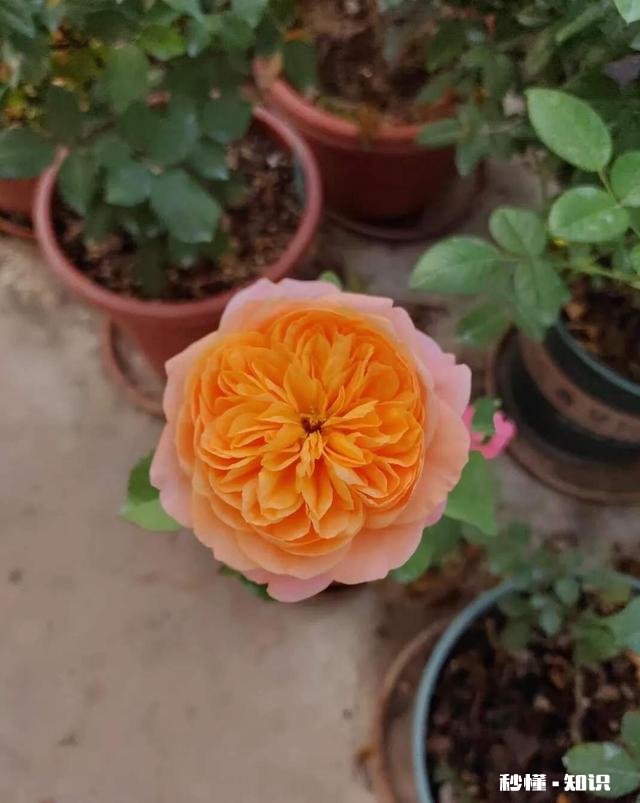 为人处世不是一味儿地对别人好吗