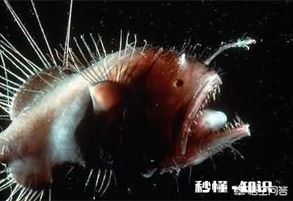 未来地球上的速度能突破光速吗