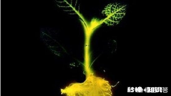 未来地球上的速度能突破光速吗