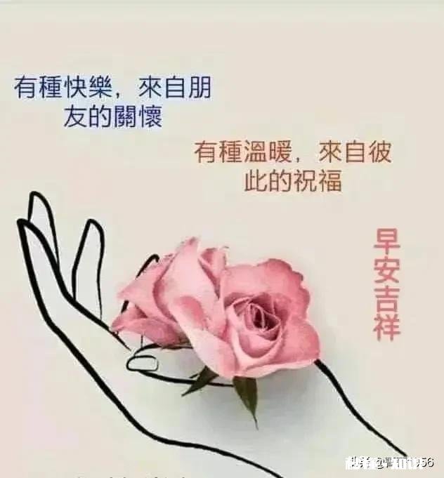 新房还没交房,但我们已经领证还怀孕3个月了,是该生之前结婚还是生完再办