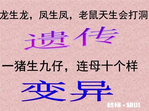 你是什么阶层，你的后代大概率就是什么阶层，别期望太高。怎么看