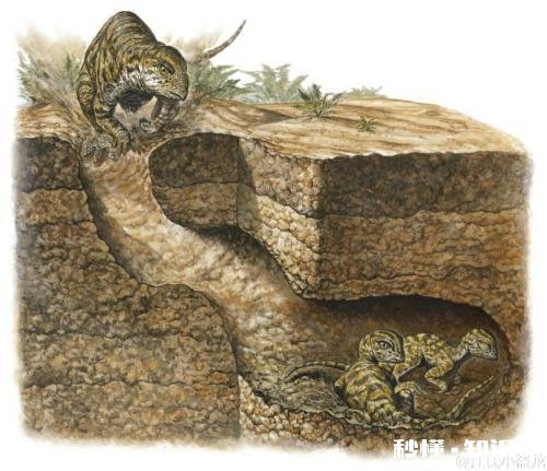 你是什么阶层，你的后代大概率就是什么阶层，别期望太高。怎么看