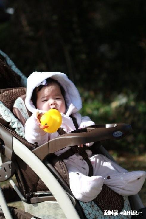 冬季新生儿多久可以抱出门不是满月,也不是百天,哪个时间对宝宝最好