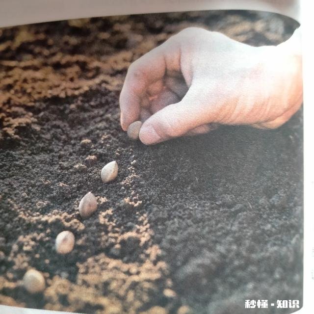 婚后男人工资拒不交家庭支出,女人求助娘家妈给钱维持,怎么办