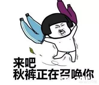 你见过最搞笑的卧室是什么样子的