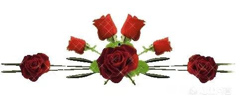 请以“桃花落了，你在哪里”开头写一篇古文