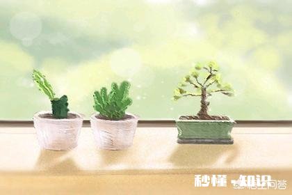 你介意你的男朋友矮吗