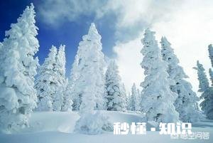 中国雪乡景区将在11月15日正式开园，你还会去吗为什么