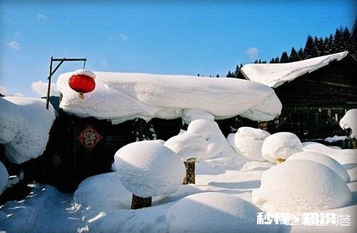 中国雪乡景区将在11月15日正式开园，你还会去吗为什么