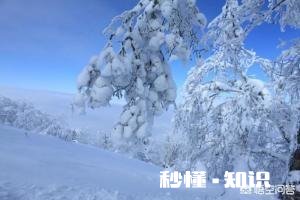 中国雪乡景区将在11月15日正式开园，你还会去吗为什么