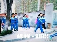 天赋决定下限，努力决定上限，你怎么看