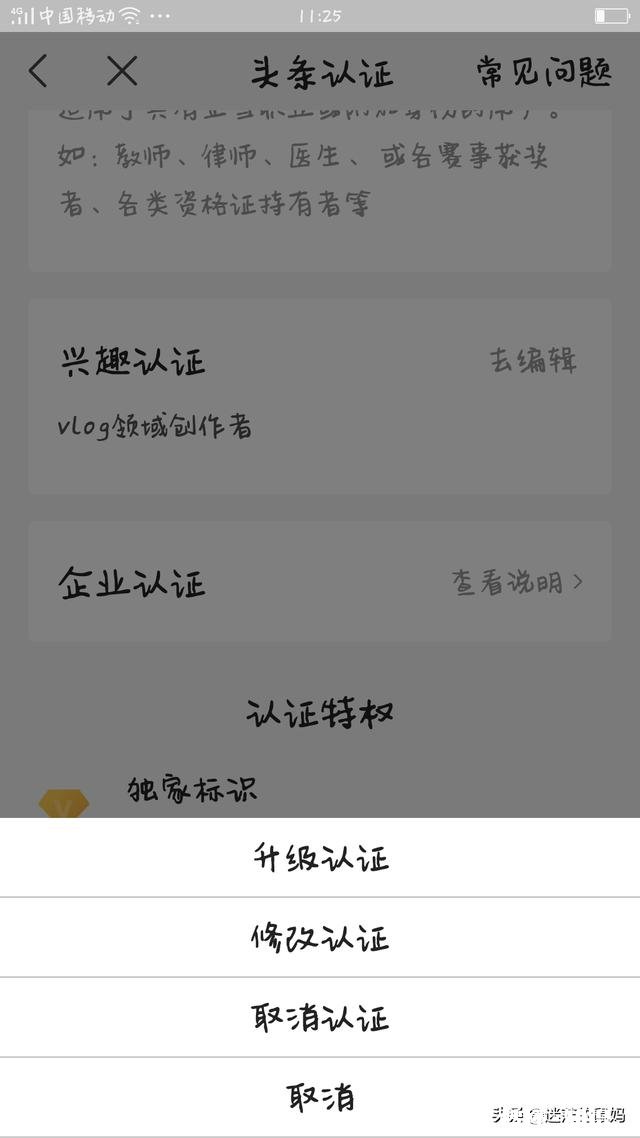 vlog领域加入黄V为什么这么难