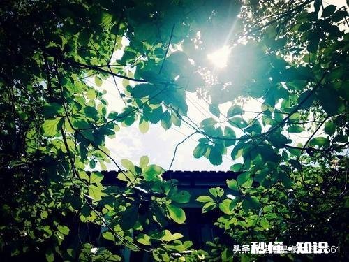 天灾人祸会不会改变你的就业观只要给很多钱钱临时工也无所谓~