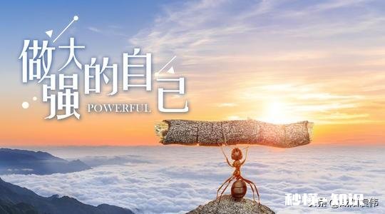 90后的你被逼婚了么单身真的会成瘾么