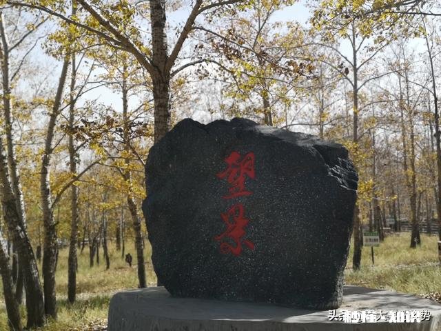 五十岁后的老师,最大危机是什么