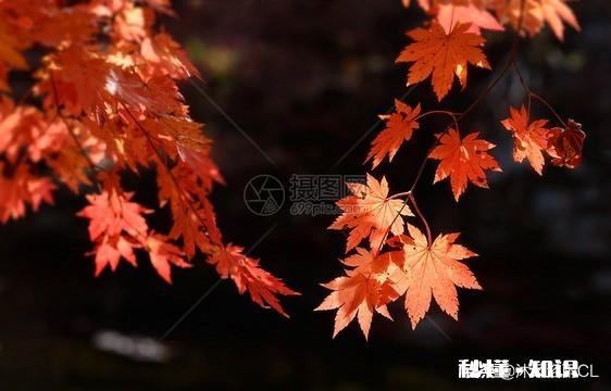 五十岁后的老师,最大危机是什么