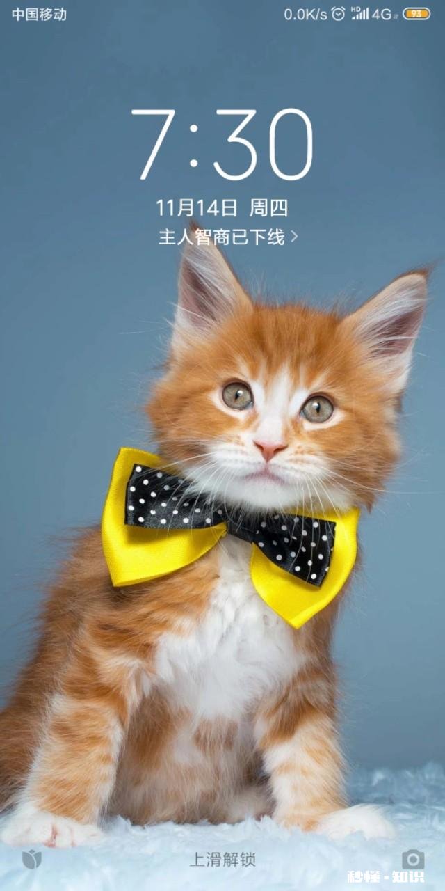 如果条件允许，你会去看你的前任吗为什么