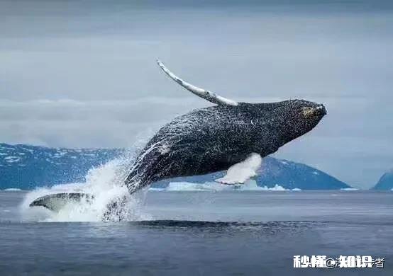 马上年底了，一年的辛苦奋斗，对于2020年有什么新的目标