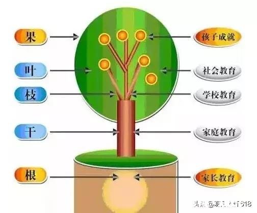 为什么有的孩子总对父母不满意
