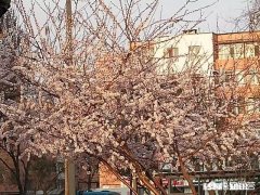 为什么有的孩子总对父母不满意