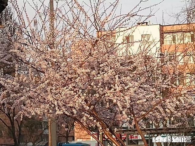 为什么有的孩子总对父母不满意