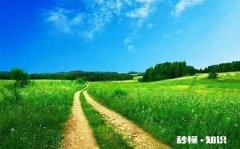 对一个人好是最愚蠢的行为吗