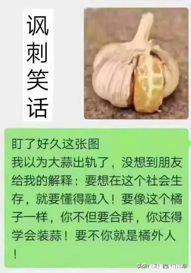 有什么笑话分享搞不搞笑无所谓，主要是喜欢听你们讲笑话